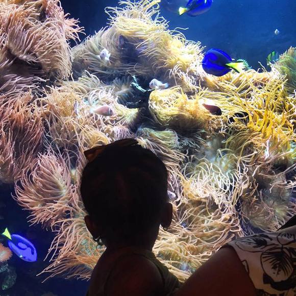 Meet your Posher, Megan - Picture 1 of 1